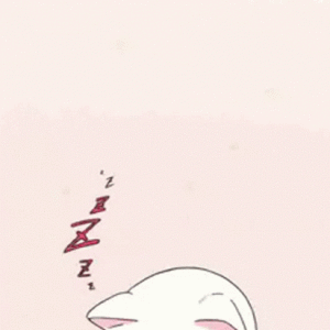 nightly_kitty